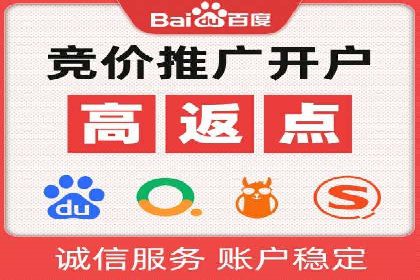 实战案例：SEM公司助力电商企业实现快速增长